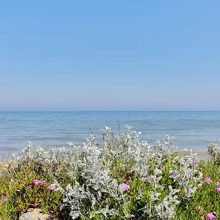 Holiday home Chez Boubou By Interhome Saint-Laurent-sur-Mer